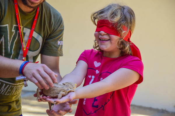 Buy your photos of the eventNR1 - Cl�ssico de 25 a 27/09/17 on Fotop