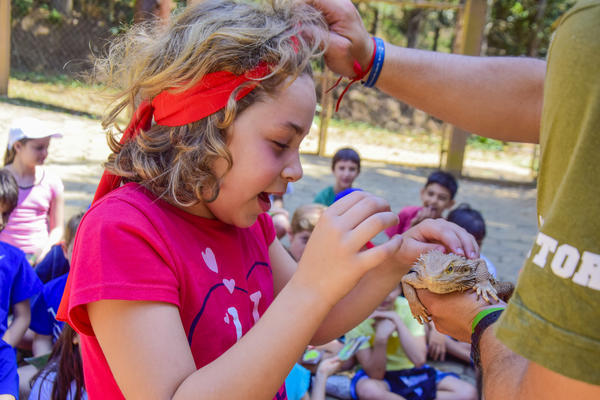 Buy your photos of the eventNR1 - Cl�ssico de 25 a 27/09/17 on Fotop