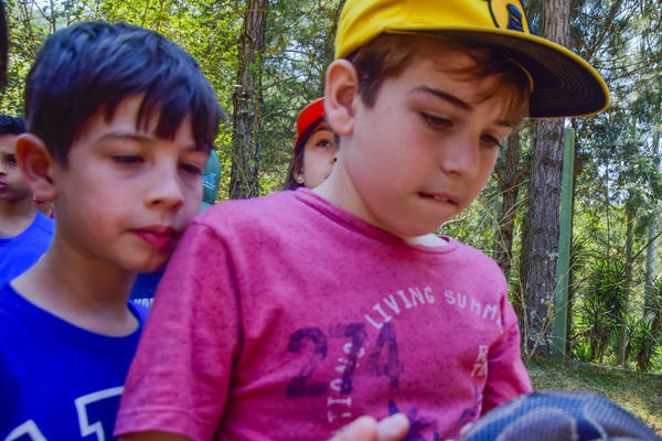 Buy your photos of the eventNR1 - Cl�ssico de 25 a 27/09/17 on Fotop