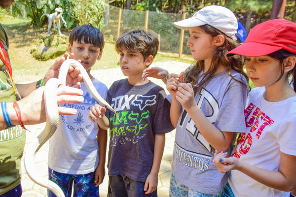 Buy your photos of the eventNR1 - Cl�ssico de 25 a 27/09/17 on Fotop