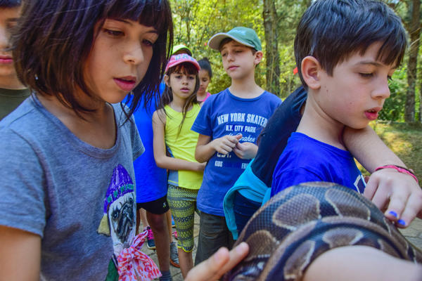 Buy your photos of the eventNR1 - Cl�ssico de 25 a 27/09/17 on Fotop