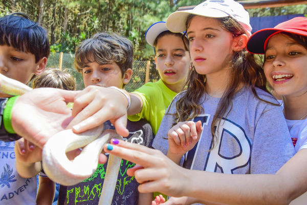 Buy your photos of the eventNR1 - Cl�ssico de 25 a 27/09/17 on Fotop