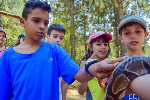 Buy your photos of the eventNR1 - Cl�ssico de 25 a 27/09/17 on Fotop