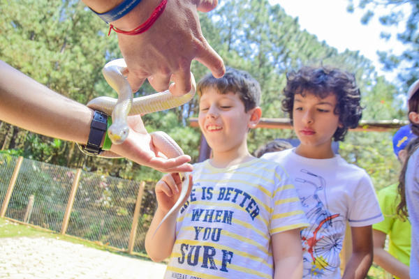 Buy your photos of the eventNR1 - Cl�ssico de 25 a 27/09/17 on Fotop