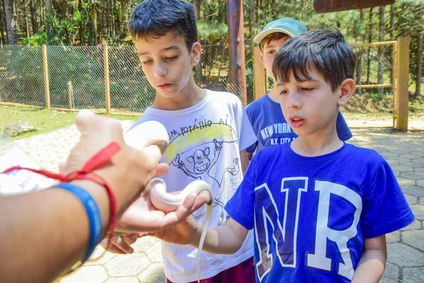 Buy your photos of the eventNR1 - Cl�ssico de 25 a 27/09/17 on Fotop