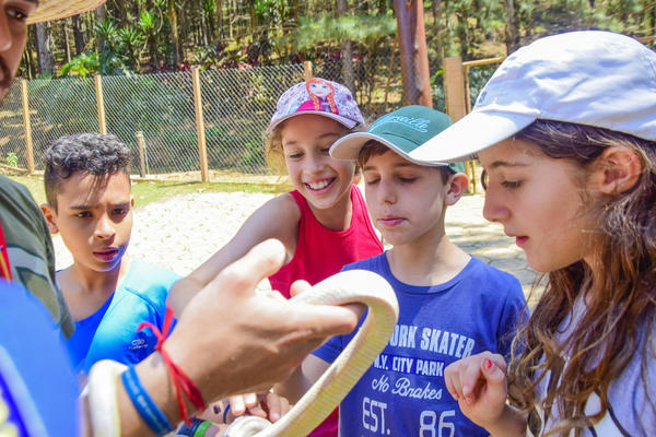 Buy your photos of the eventNR1 - Cl�ssico de 25 a 27/09/17 on Fotop