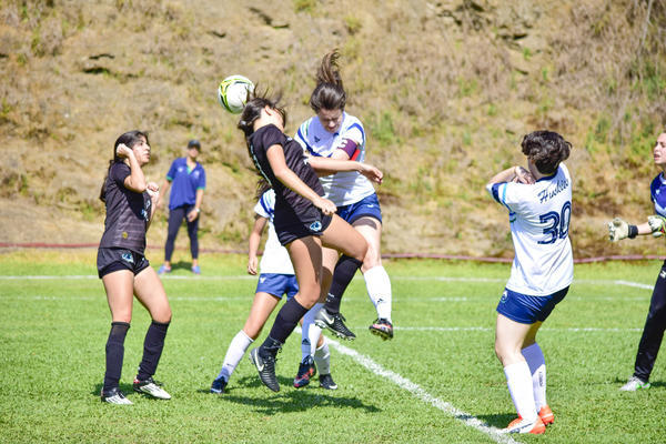 Buy your photos of the eventISSL Season 1 27 a 01/10/17 on Fotop