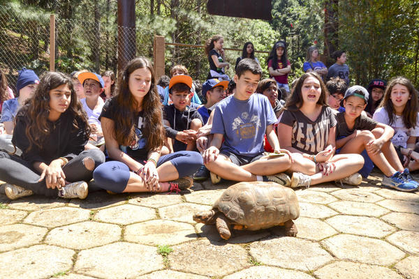 Buy your photos of the eventNR1 - Cl�ssico de 29 a 01/10/17 on Fotop