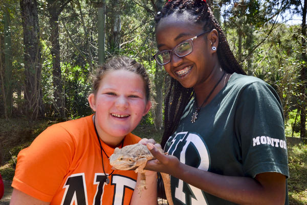 Buy your photos of the eventNR1 - Cl�ssico de 29 a 01/10/17 on Fotop