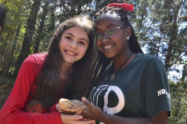 Buy your photos of the eventNR1 - Cl�ssico de 29 a 01/10/17 on Fotop