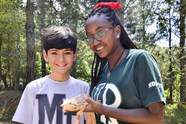 Buy your photos of the eventNR1 - Cl�ssico de 29 a 01/10/17 on Fotop