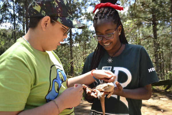 Buy your photos of the eventNR1 - Cl�ssico de 29 a 01/10/17 on Fotop