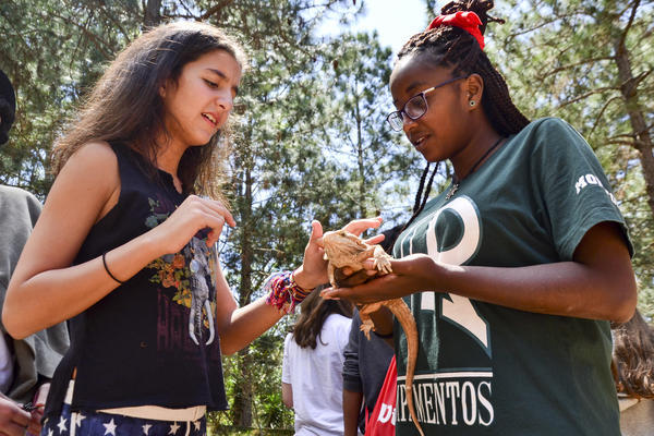 Buy your photos of the eventNR1 - Cl�ssico de 29 a 01/10/17 on Fotop