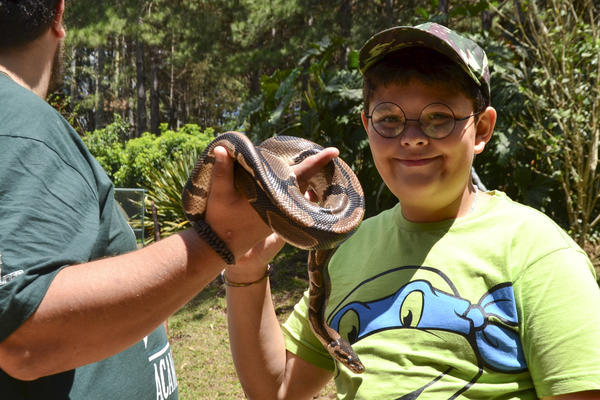 Buy your photos of the eventNR1 - Cl�ssico de 29 a 01/10/17 on Fotop