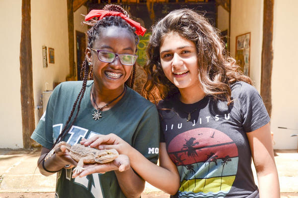 Buy your photos of the eventNR1 - Cl�ssico de 29 a 01/10/17 on Fotop