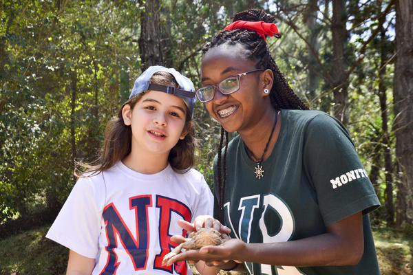 Buy your photos of the eventNR1 - Cl�ssico de 29 a 01/10/17 on Fotop