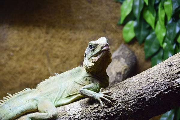 Buy your photos of the eventNR1 - Cl�ssico de 29 a 01/10/17 on Fotop