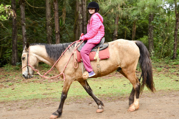 Buy your photos of the eventNR1 - Cl�ssico de 29 a 01/10/17 on Fotop