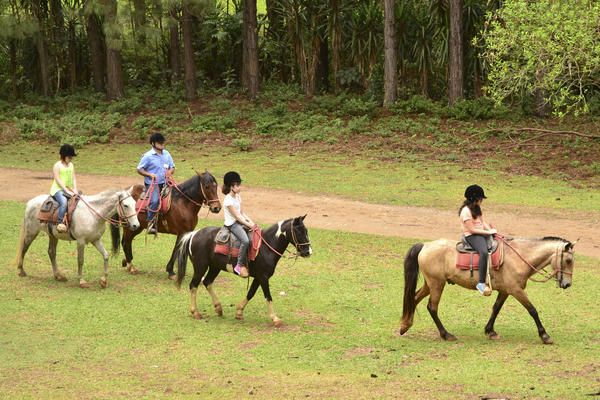 Buy your photos of the eventNR1 - Ol�, 6� Ano  01 a 04/10/17   on Fotop