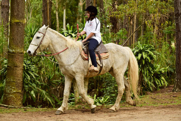 Buy your photos of the eventNR1 - Ol�, 6� Ano  01 a 04/10/17   on Fotop