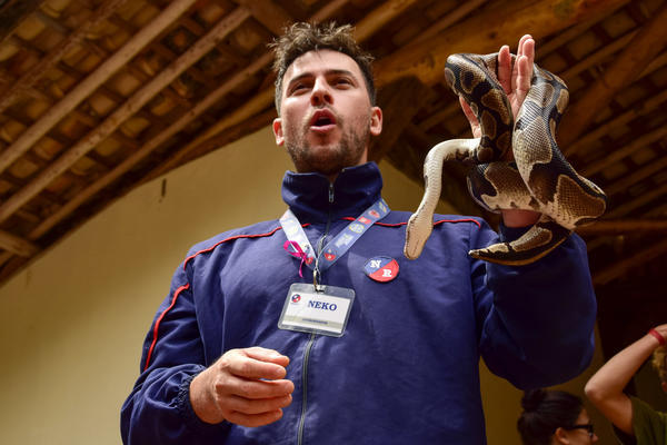 Buy your photos of the eventNR1 - Ol�, 6� Ano  01 a 04/10/17   on Fotop