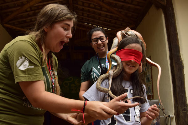 Buy your photos of the eventNR1 - Ol�, 6� Ano  01 a 04/10/17   on Fotop