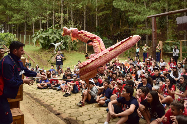 Buy your photos of the eventNR1 - Ol�, 6� Ano  01 a 04/10/17   on Fotop