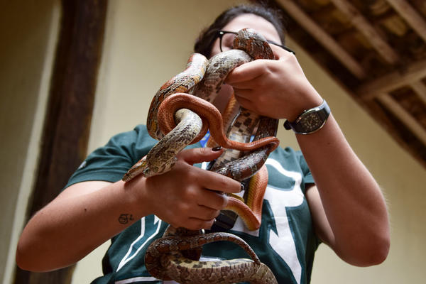 Buy your photos of the eventNR1 - Ol�, 6� Ano  01 a 04/10/17   on Fotop