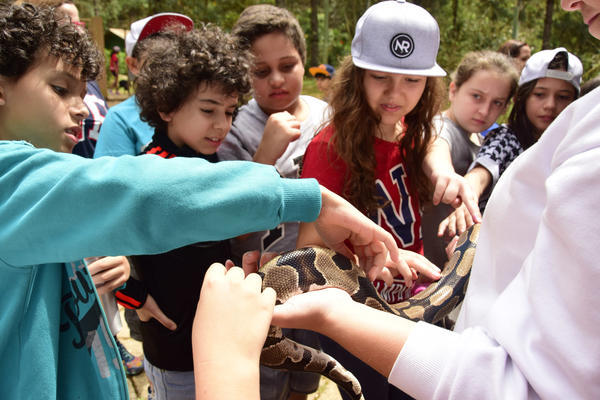 Buy your photos of the eventNR1 - Ol�, 6� Ano  01 a 04/10/17   on Fotop
