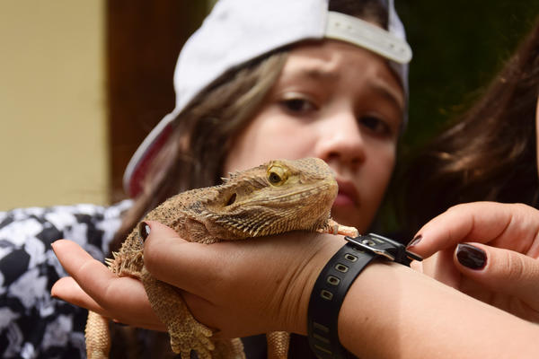 Buy your photos of the eventNR1 - Ol�, 6� Ano  01 a 04/10/17   on Fotop