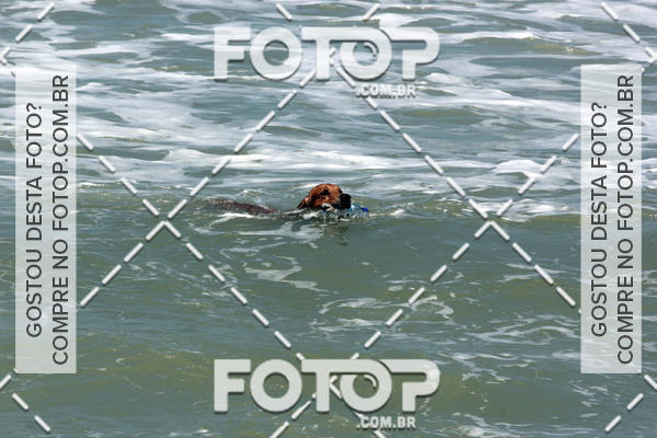 Buy your photos of the eventFree Surf  - Praia do Pecado 01/10/17 on Fotop