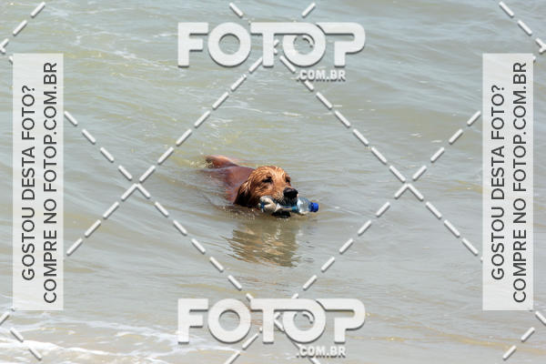 Buy your photos of the eventFree Surf  - Praia do Pecado 01/10/17 on Fotop