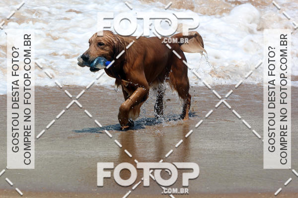 Buy your photos of the eventFree Surf  - Praia do Pecado 01/10/17 on Fotop