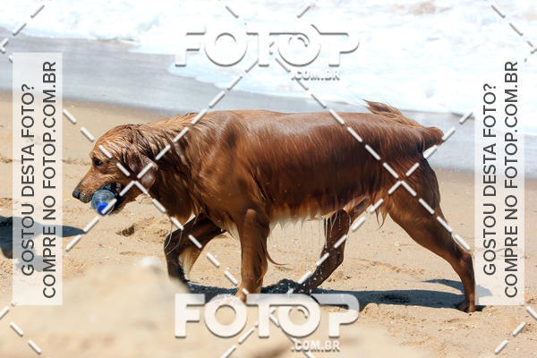 Buy your photos of the eventFree Surf  - Praia do Pecado 01/10/17 on Fotop