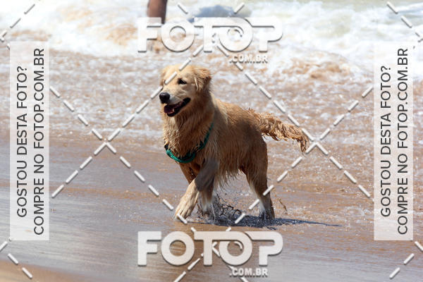 Buy your photos of the eventFree Surf  - Praia do Pecado 01/10/17 on Fotop