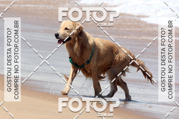 Buy your photos of the eventFree Surf  - Praia do Pecado 01/10/17 on Fotop