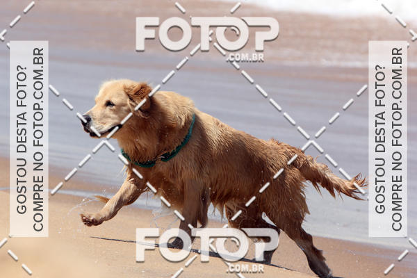 Buy your photos of the eventFree Surf  - Praia do Pecado 01/10/17 on Fotop