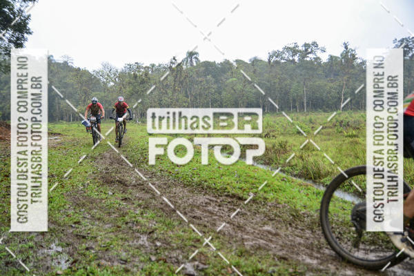 Compra tus fotos del eventoCircuito Soul de Mountain Bike 2017 - Joinville - SC En Fotop