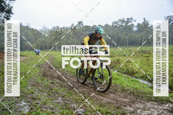 Compra tus fotos del eventoCircuito Soul de Mountain Bike 2017 - Joinville - SC En Fotop