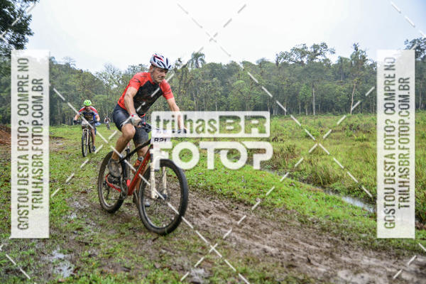 Compra tus fotos del eventoCircuito Soul de Mountain Bike 2017 - Joinville - SC En Fotop