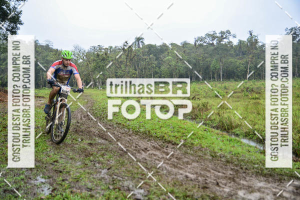 Compra tus fotos del eventoCircuito Soul de Mountain Bike 2017 - Joinville - SC En Fotop