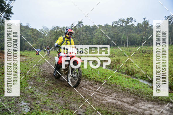 Achetez vos photos de l'vnementCircuito Soul de Mountain Bike 2017 - Joinville - SC sur Fotop