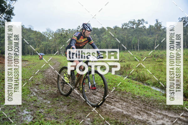 Compra tus fotos del eventoCircuito Soul de Mountain Bike 2017 - Joinville - SC En Fotop