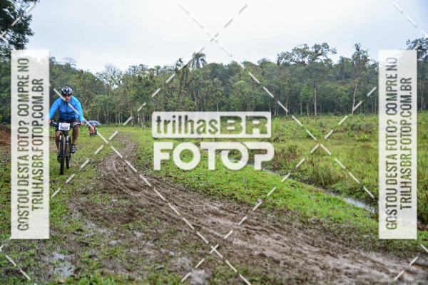 Compra tus fotos del eventoCircuito Soul de Mountain Bike 2017 - Joinville - SC En Fotop