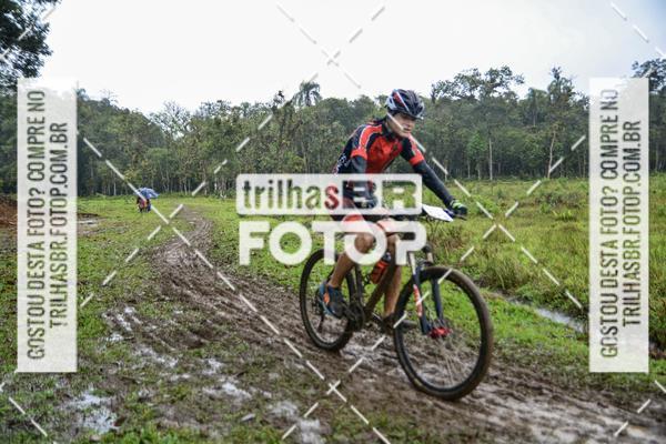 Compra tus fotos del eventoCircuito Soul de Mountain Bike 2017 - Joinville - SC En Fotop