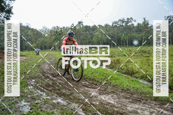 Compra tus fotos del eventoCircuito Soul de Mountain Bike 2017 - Joinville - SC En Fotop
