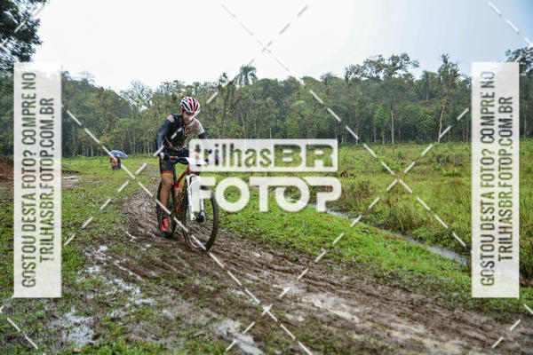 Compra tus fotos del eventoCircuito Soul de Mountain Bike 2017 - Joinville - SC En Fotop