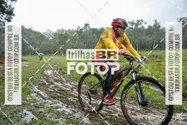 Compra tus fotos del eventoCircuito Soul de Mountain Bike 2017 - Joinville - SC En Fotop