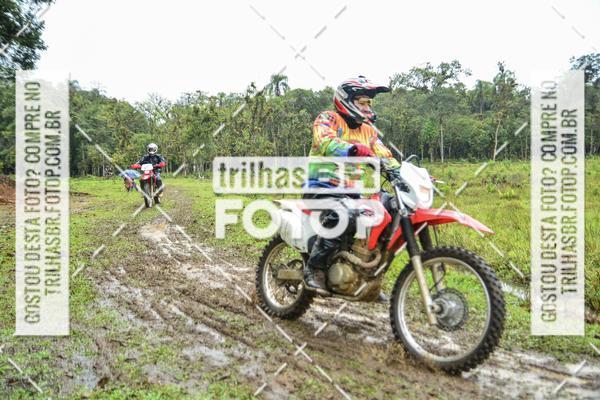 Compre as suas fotos do eventoCircuito Soul de Mountain Bike 2017 - Joinville - SC no Fotop