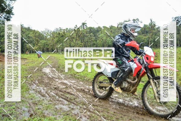 Acquista le foto dell'eventoCircuito Soul de Mountain Bike 2017 - Joinville - SC in Fotop